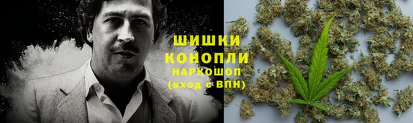 молекула духа Аркадак