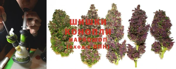 молекула духа Аркадак